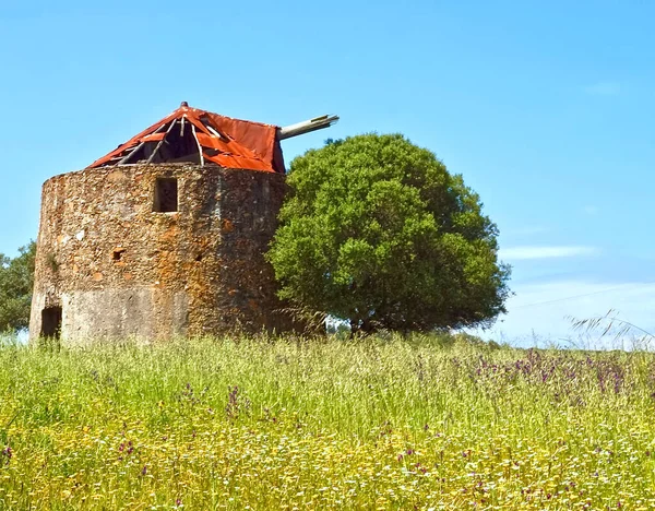 葡萄牙美丽的Alentejo自然的老磨坊 — 图库照片