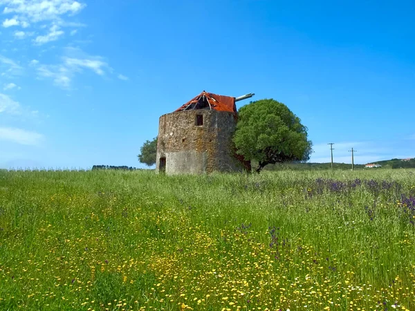 Old Mill Beautiful Alentejo Nature Portugal — Stock Photo, Image