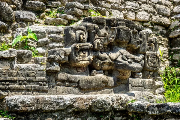 カラコル寺院の古代遺跡の風光明媚なショット — ストック写真