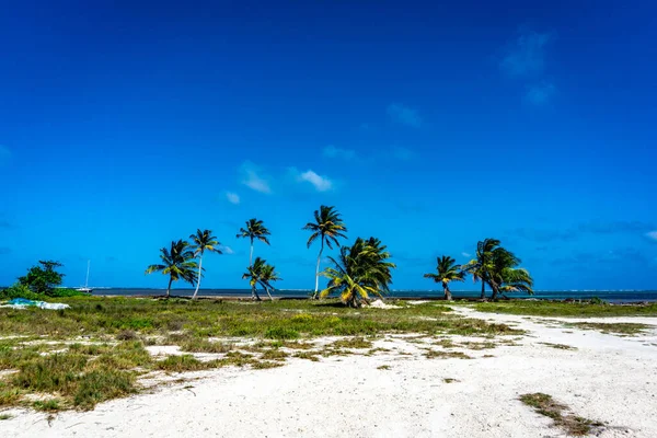 Vistas Ambergris Caye Maior Ilha Belize Mar Caribe — Fotografia de Stock