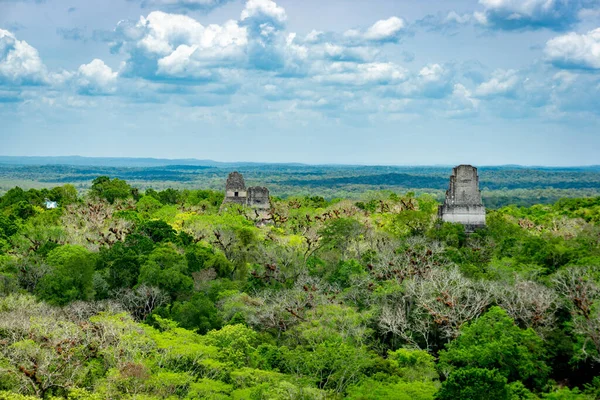 Templo Tikal Templo Jaguar Templo Del Sol Dios Guatemala — Foto de Stock