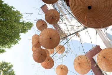 Vietnam şapkaları bambu ağacından sarkan
