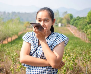 Yasemin bahçesinde hoparlörden konuşan Asyalı genç kadınlar güneş yüzüne vururken