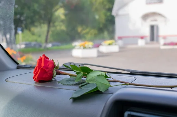 車内のダッシュボードに赤いバラの花が咲いています — ストック写真
