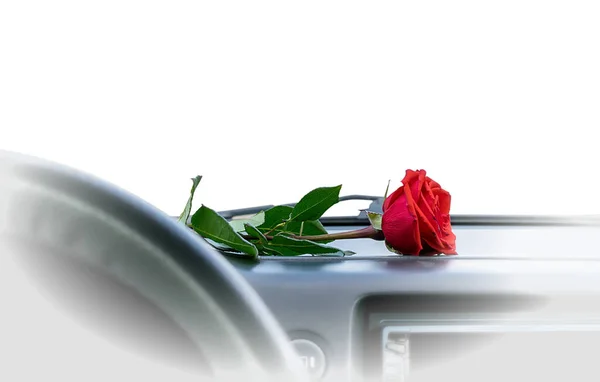 Red Rose Flower Lies Dashboard Car — Zdjęcie stockowe