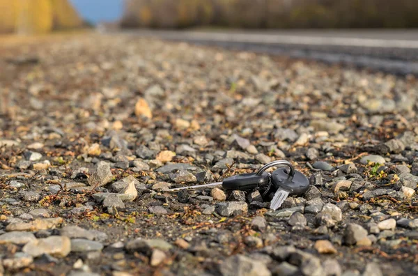 Lost Bunch Keys Lying Asphalt Surface Roadway — Foto de Stock