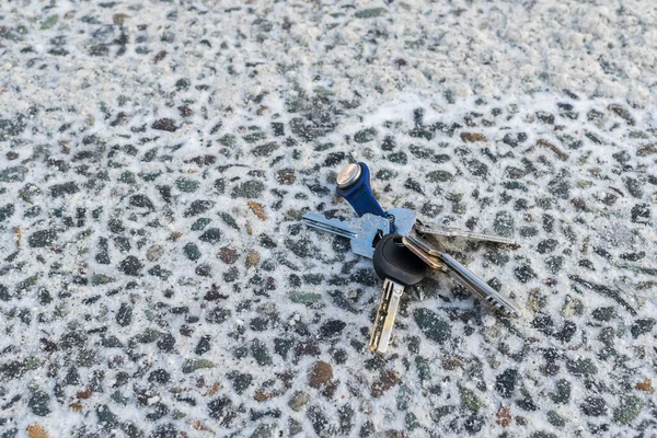 Связка Ключей Лежит Зимой Снегу Асфальтовой Дороге — стоковое фото