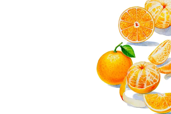 白で隔離された夏のオレンジのコレクションを描く — ストック写真