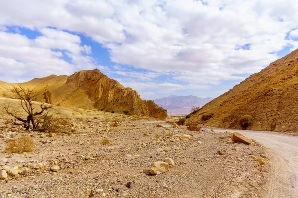 ナハル アムラム 砂漠の谷 とアラバ砂漠の風景 — ストック写真