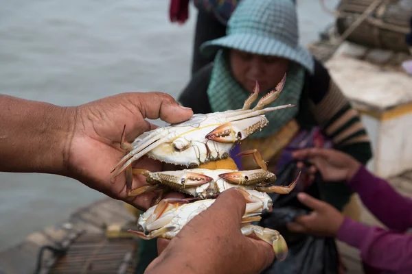 Crab Market Krong Kaeb Province Kep Cambodge — Photo
