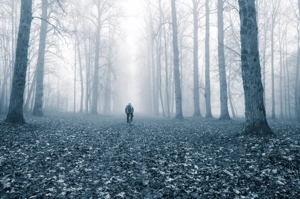 foggy forest with man in fog