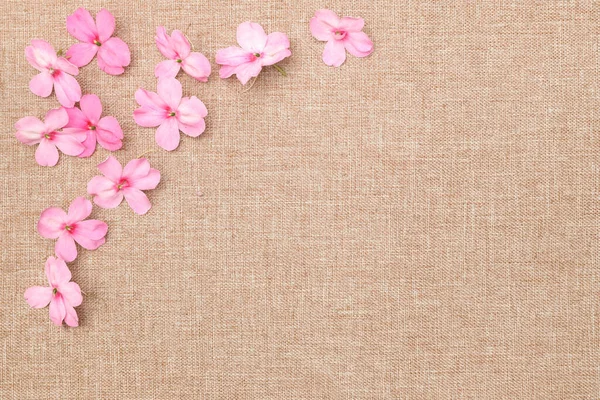 Blumen Und Leinentuch Hintergrund — Stockfoto