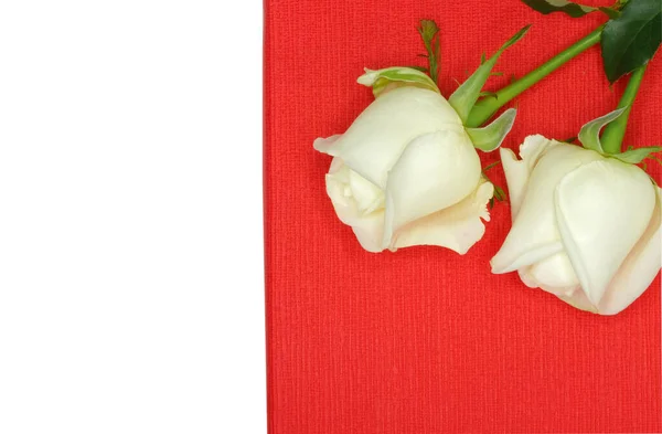 Duas Rosas Brancas Numa Caixa Papel Vermelha — Fotografia de Stock