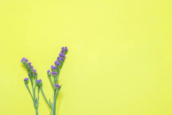 Фіолетовий Статик Прекрасний Квітковий Фон — стокове фото