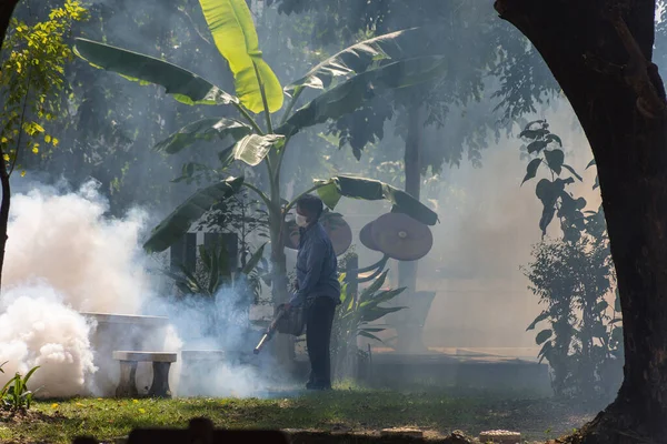Ddt Spreyi Öldürme Sivrisinek Sisleme — Stok fotoğraf