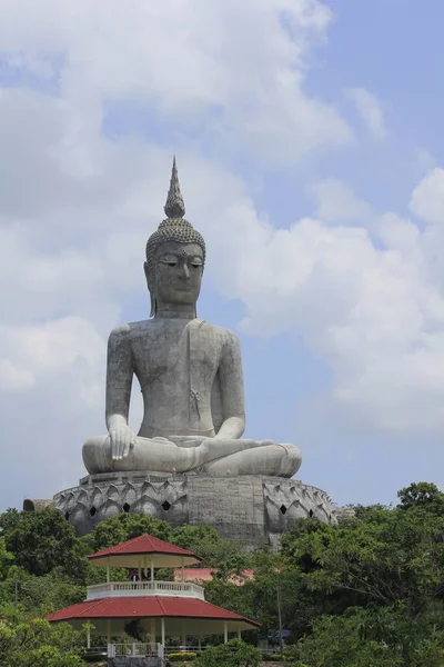 Grande Buddha Concreto Immagine Concetto Religioso — Foto Stock