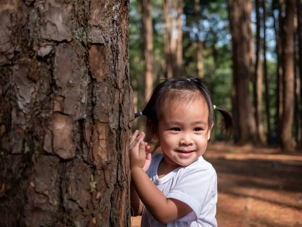 Asiatique Petite Fille Enfant Jouer Dans Forêt Pins Heureusement — Photo
