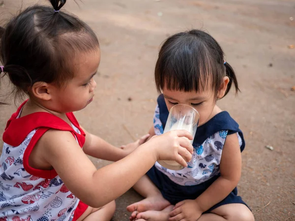 Malé Asijské Dítě Sedět Zahradě Krmit Trochu Mléka Její Sestru — Stock fotografie