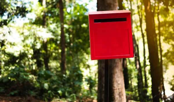 Classical Mailbox Pine Forest Chiang Mai Thailand — Stock Photo, Image