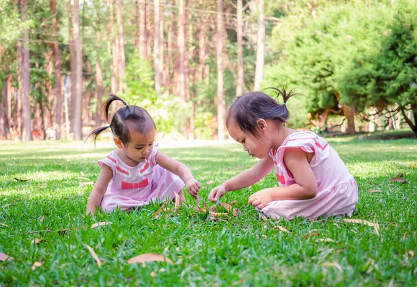 Les Petites Filles Asiatiques Assoient Jouant Sur Les Herbes Ensemble — Photo