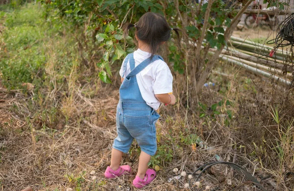 Petite Fille Asiatique Marchant Dans Jardin Avec Herbe Encombrée Dangereux — Photo