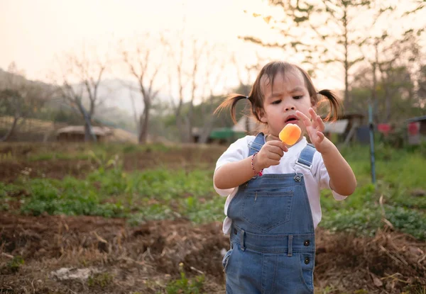 Asian Little Girl Walking Park Eating Ice Cream Deliciously Summer — Photo