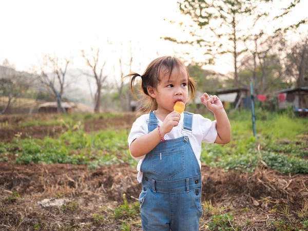 Азиатская Маленькая Девочка Гуляющая Парку Вкусно Питающаяся Мороженым Летом Симпатичное — стоковое фото