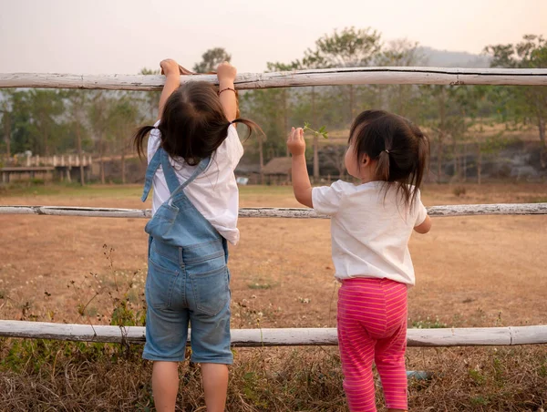 Vue Arrière Petite Fille Asiatique Jouant Avec Sœur Dans Jardin — Photo