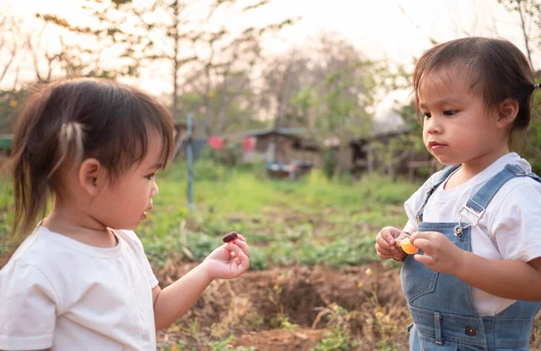 Asyalı Küçük Çocuk Taze Dut Köftelerinin Tadını Test Ediyor Bahçede — Stok fotoğraf
