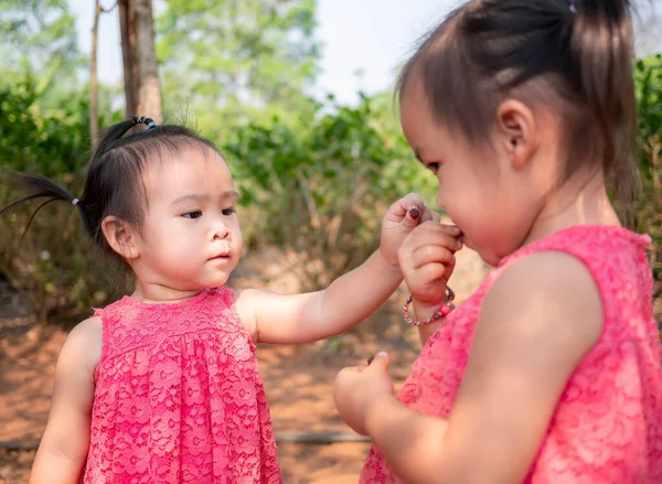 Азиатский Маленький Ребенок Испытывает Вкус Свежих Клубничных Шариков Начале Саду — стоковое фото