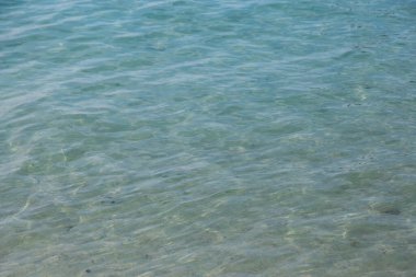 Tropikal denizde su dalgası