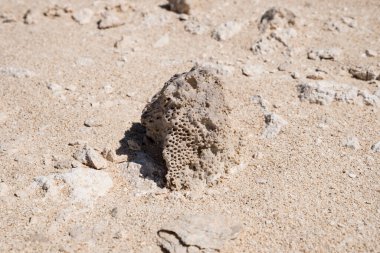 Rock Garden (Duqm 'un Rock Hayvanat Bahçesi olarak da bilinir), ünlü turist merkezi.