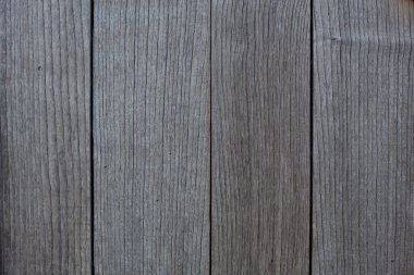 Eski çam ağacı dokusu arkaplanı