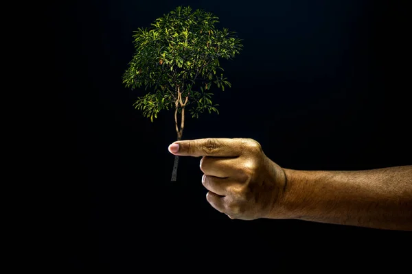 Mão Beliscar Dedo Para Dar Uma Árvore — Fotografia de Stock
