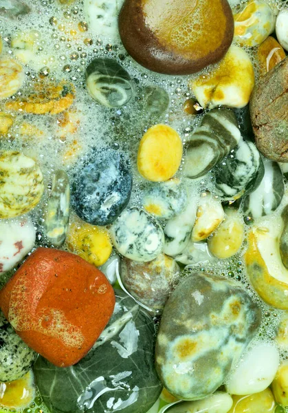 Sea Shells Stones Background Close — Stock Photo, Image