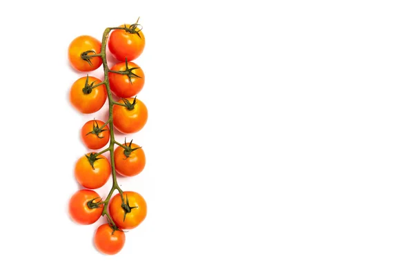 Vue Rapprochée Des Tomates Biologiques Fraîches Mûres — Photo