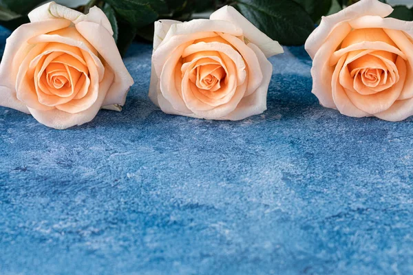Trois Roses Couleur Pêche Sur Fond Peinture Acrylique Bleu Blanc — Photo