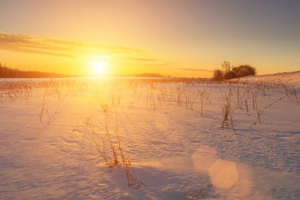 Solnedgång Ett Vinter Fält — Stockfoto