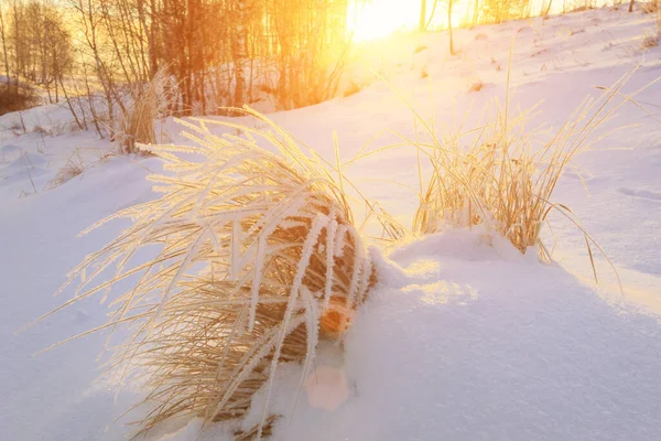 Zachód Słońca Polu Zima — Zdjęcie stockowe
