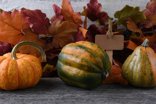 Autumn Farm Stand Gourds — Stock Fotó