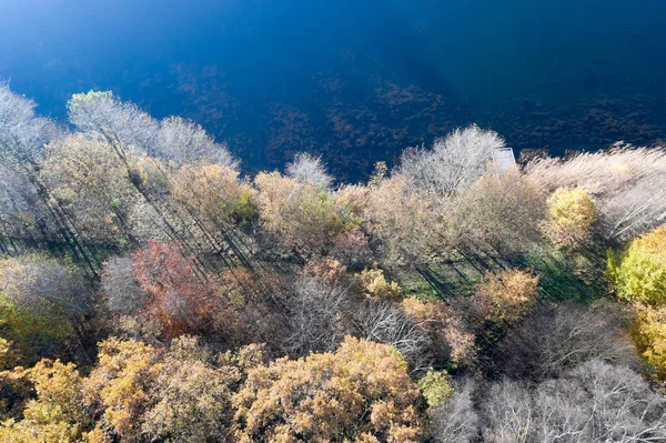 Abstraktní Letecká Fotografie Podzimního Barevného Lesa Okraji Modré Vodní Hladiny — Stock fotografie