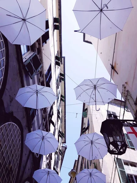 Trotse Maand Kleur Paraplu Opknoping Straat — Stockfoto