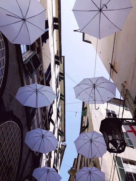 Stolthet Månad Färgparaplyer Hängande Gatan — Stockfoto