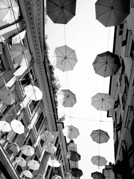 Mois Fierté Parapluies Couleur Suspendus Sur Rue — Photo