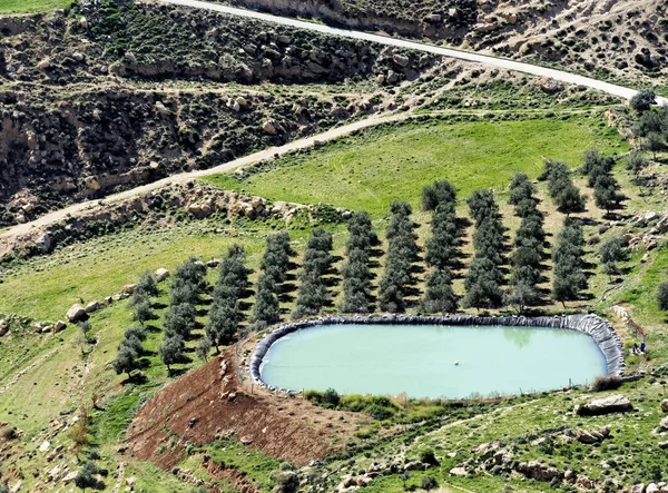 Opslagbekken Voor Irrigatie Van Een Olijfgaard Woestijn Bij Karak Jordanië — Stockfoto