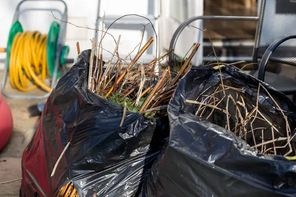 Czarne Worki Odpadami Ogrodowymi Otoczeniu Mieszkalnym — Zdjęcie stockowe