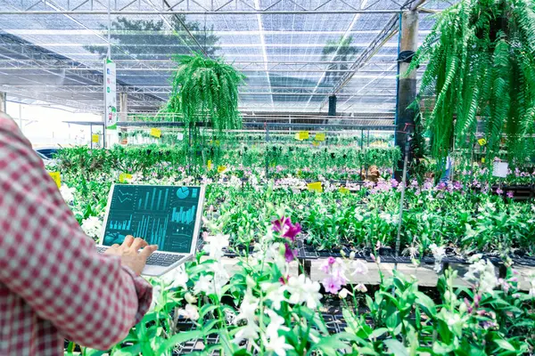 Bilgisayar teknolojisi ile gelişmiş çiftçiler kalite denetimi tarımsal ürün