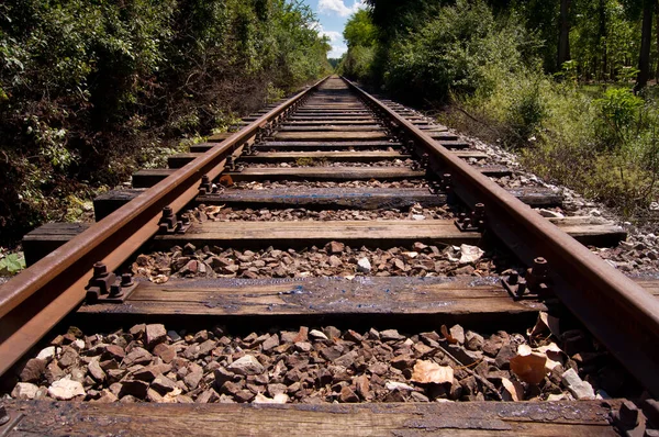 Gamle Rustne Jernbanespor Med Trær Sidene – stockfoto