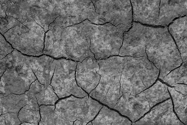 乾燥した割れた灰色の大地の背景 — ストック写真