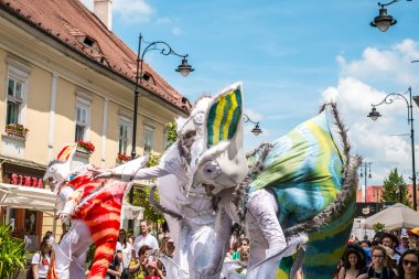 Uluslararası tiyatro festivalinde Almanya 'dan bukalemunlar dans ediyor. 